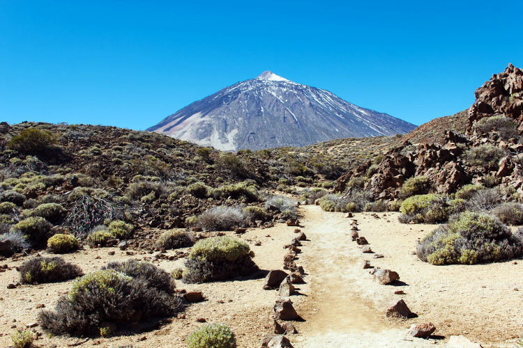 Teide